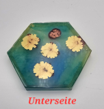 Untersetzer 6 eckig, grün